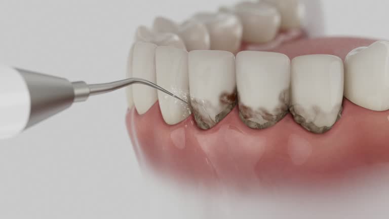 Reliable Dental contractor in Dunbar, SC by Dentist Open Now